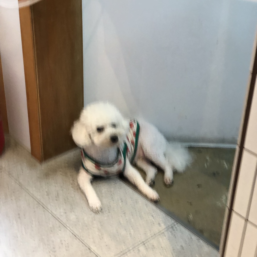 동태와찜마을 이미지