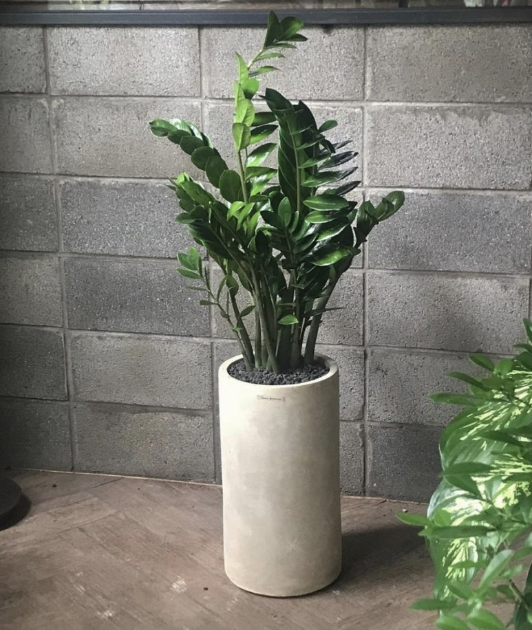 곡천화원 이미지