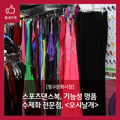 오시날개 이미지