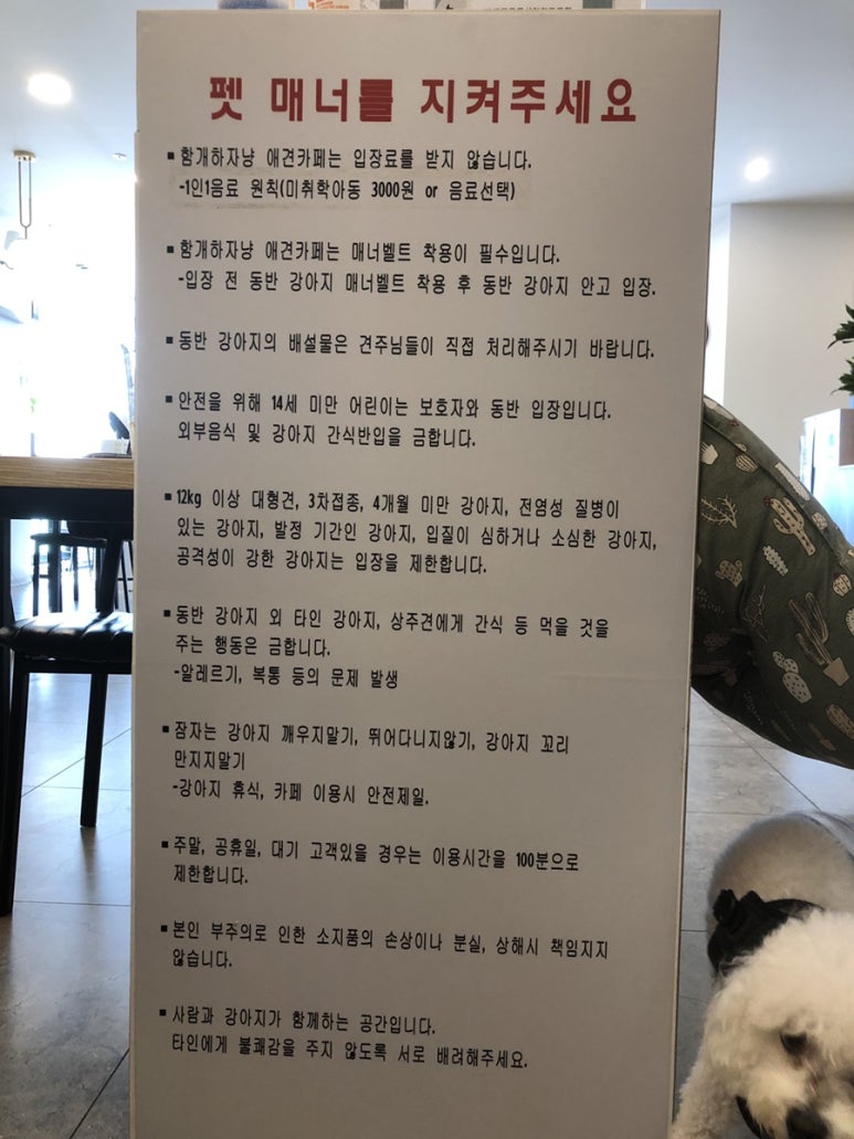 함개하자냥 이미지