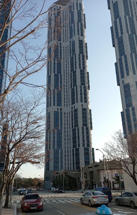 씨더 이미지