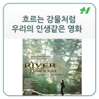 세계과자할인점 이미지