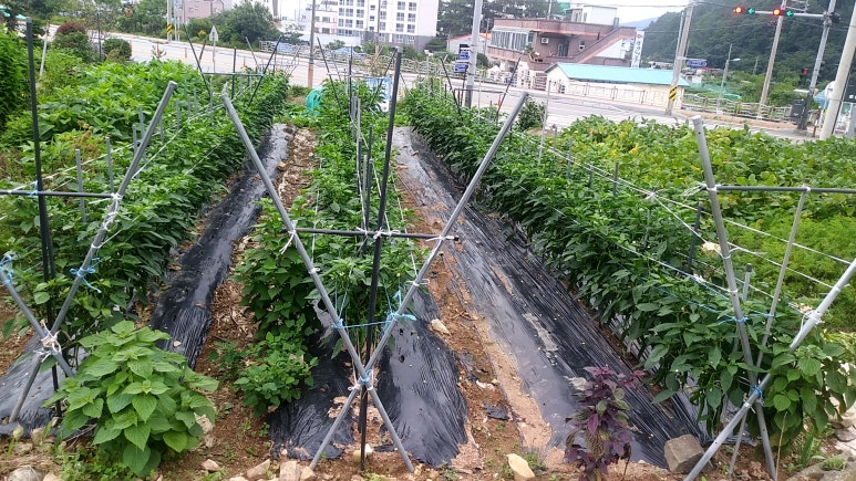 (주)다원포장 이미지