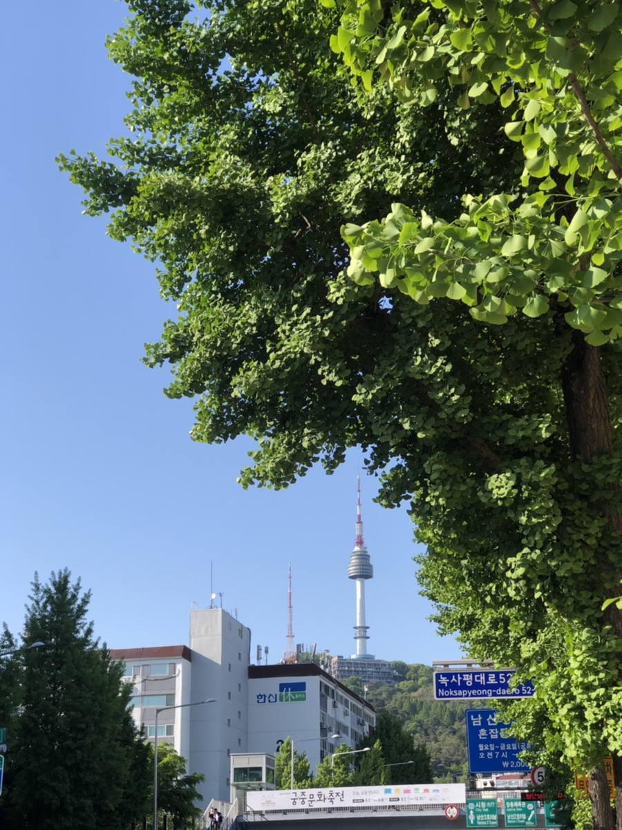 선데이아보 이미지