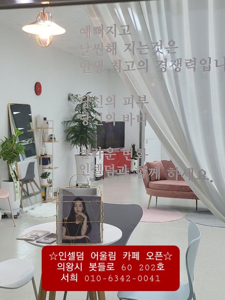 인셀덤숲 이미지