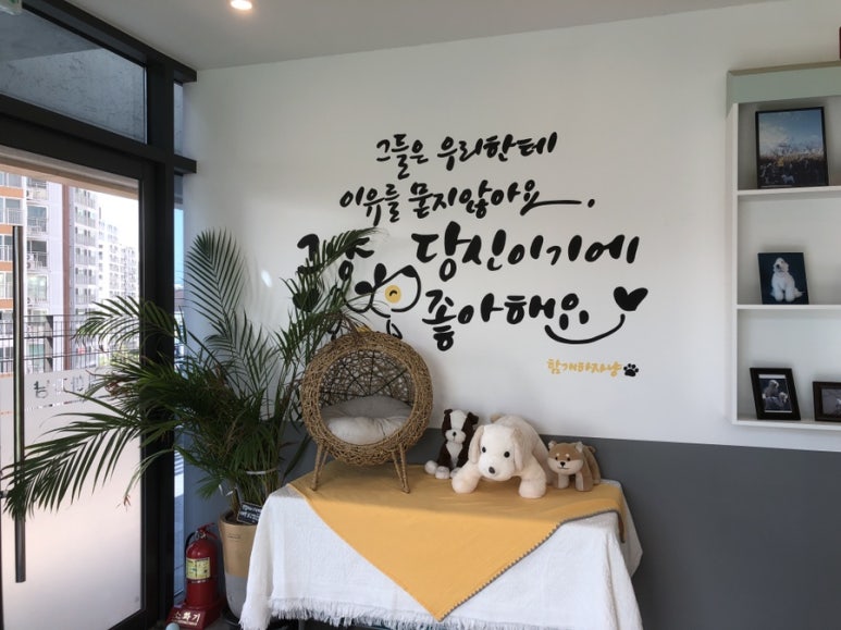 함개하자냥 이미지