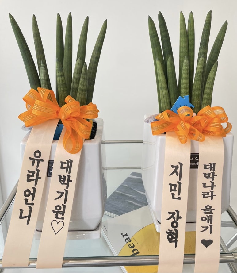 곡천화원 이미지