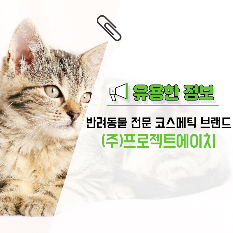 (주)이윤개발 이미지