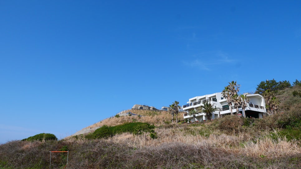 제주팡숑예래 이미지