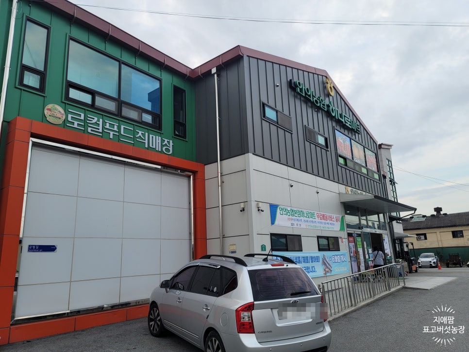 안의농협하나로마트 이미지