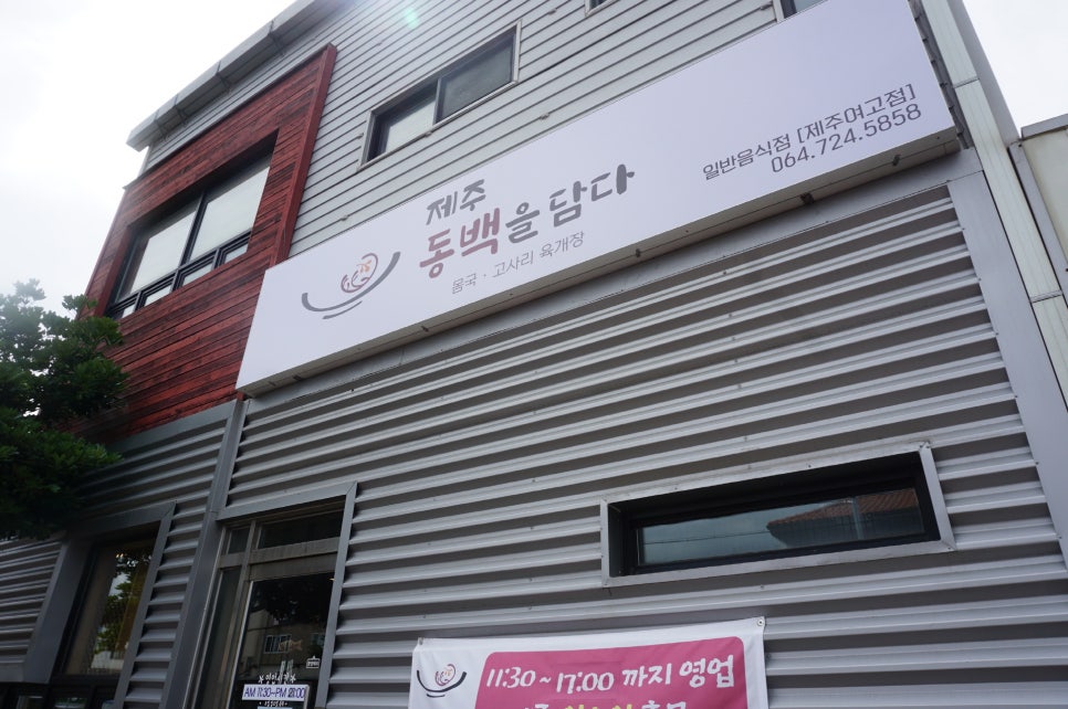 제주동백을담다 이미지