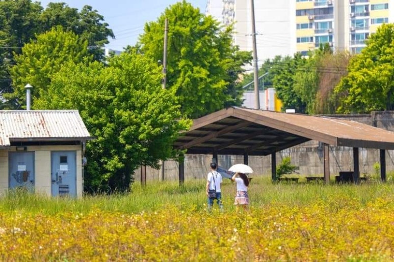 대륙마켓 이미지