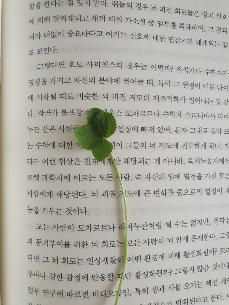 싱싱장터아름점 이미지