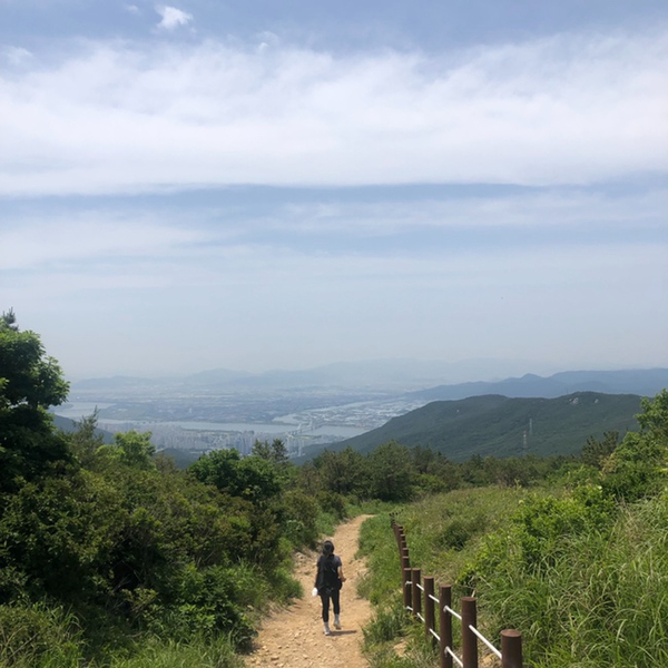 장대국수 이미지