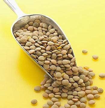 풀마니 이미지