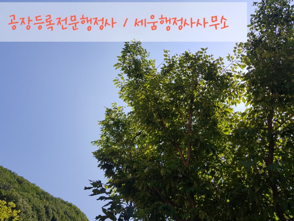 세움행정사사무소 이미지