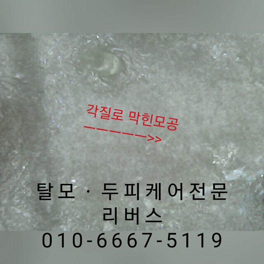 평화루 이미지