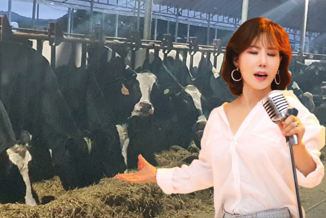 엄지노래클럽 이미지