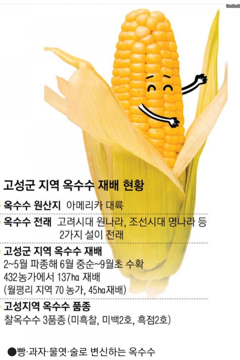 동부농협외곡지점 이미지