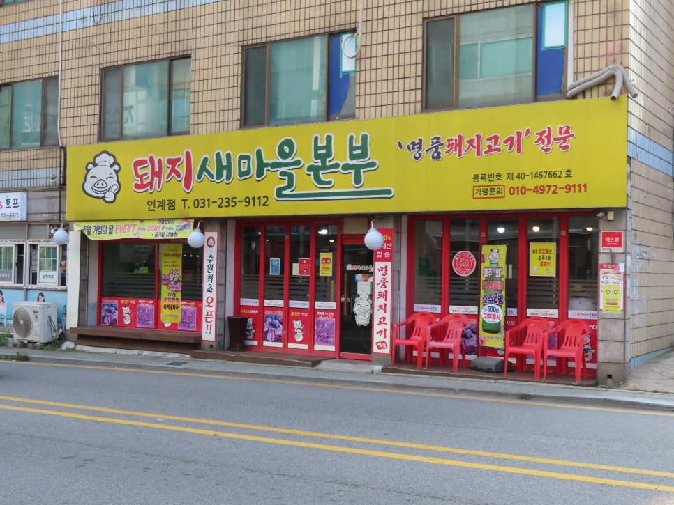 돼지새마을운동 이미지