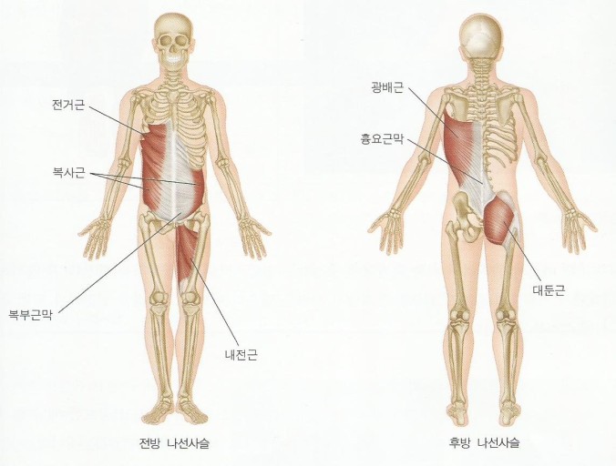 라인피티 이미지
