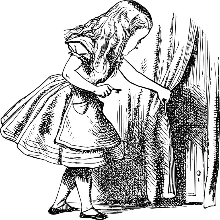 보정당 이미지
