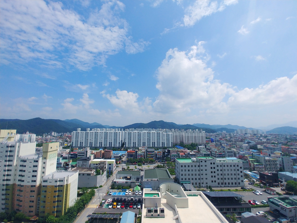 모아수선 이미지