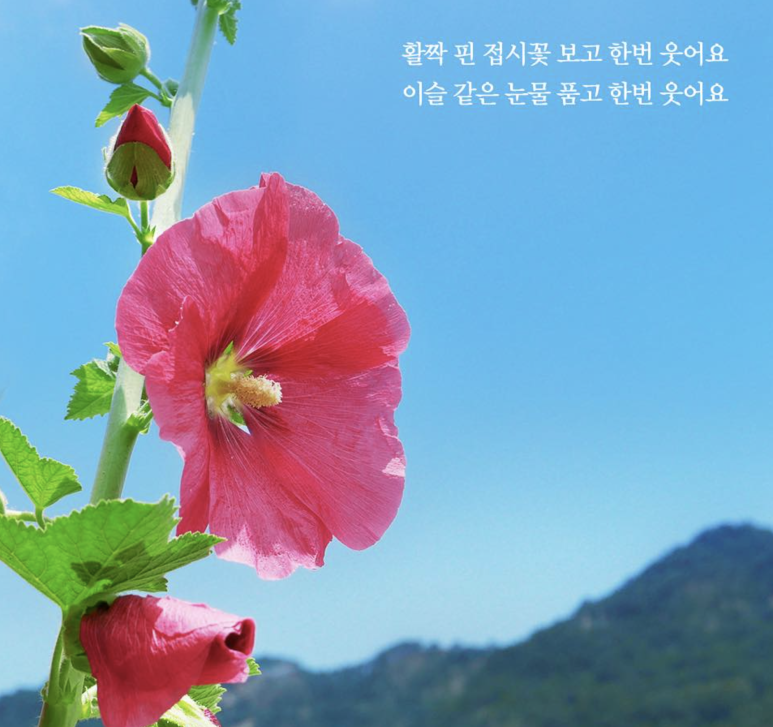 미투헤어샵 이미지