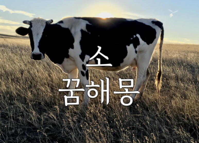 소사랑돼지꿈 이미지
