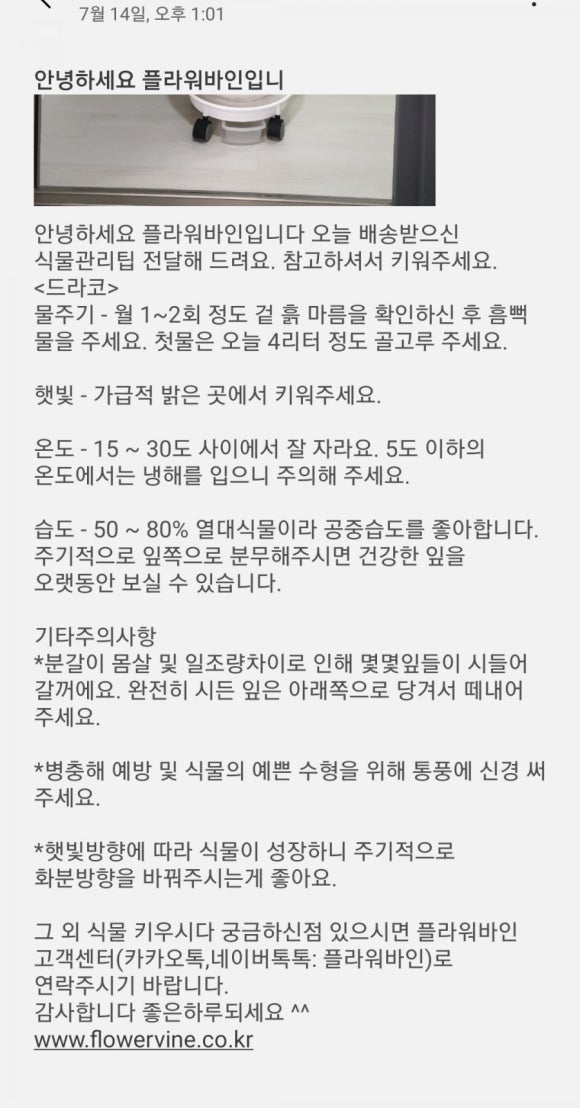 윤플라워 이미지