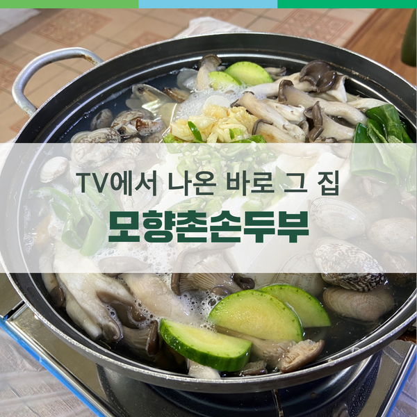 모향촌손두부 이미지