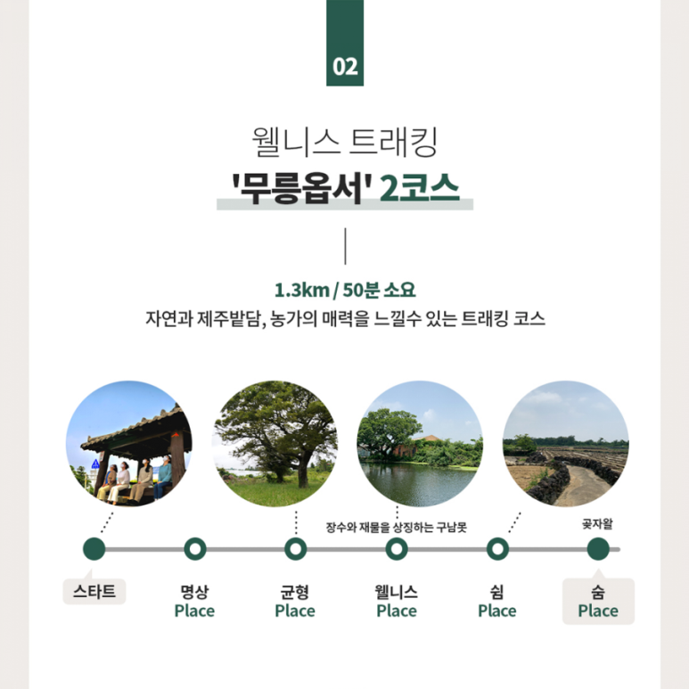 웰니스플러스 이미지