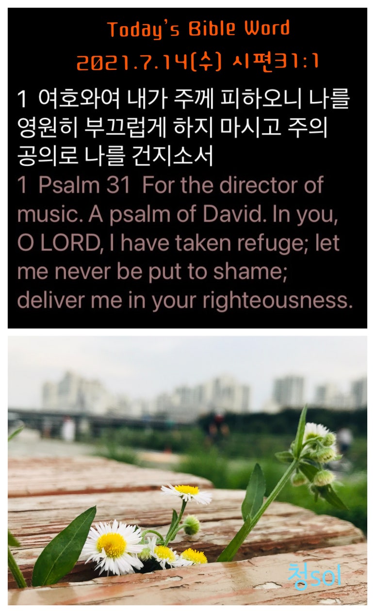 (주)화해 이미지