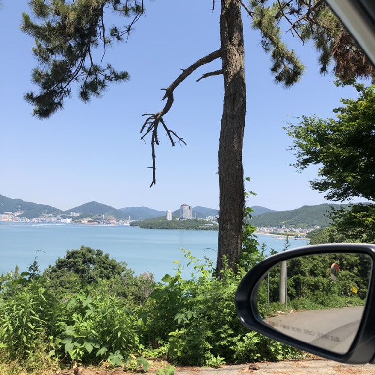슈가브리움 이미지