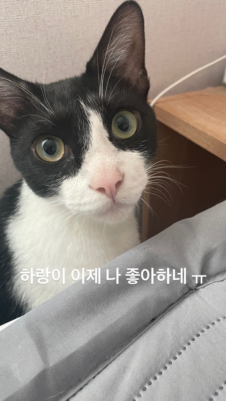 지지유 이미지