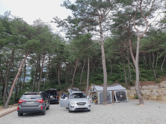 가은 해솔 캠핑장 이미지
