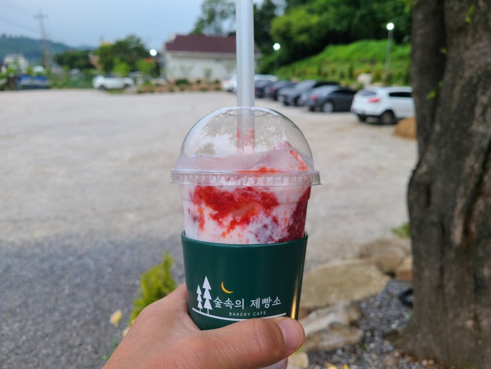 숲속에 딸기 이미지
