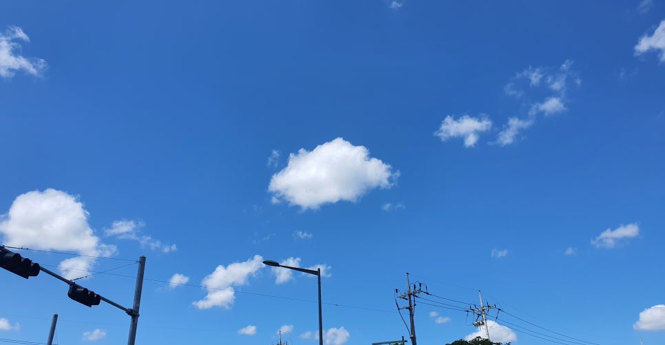 동부카공업사 이미지