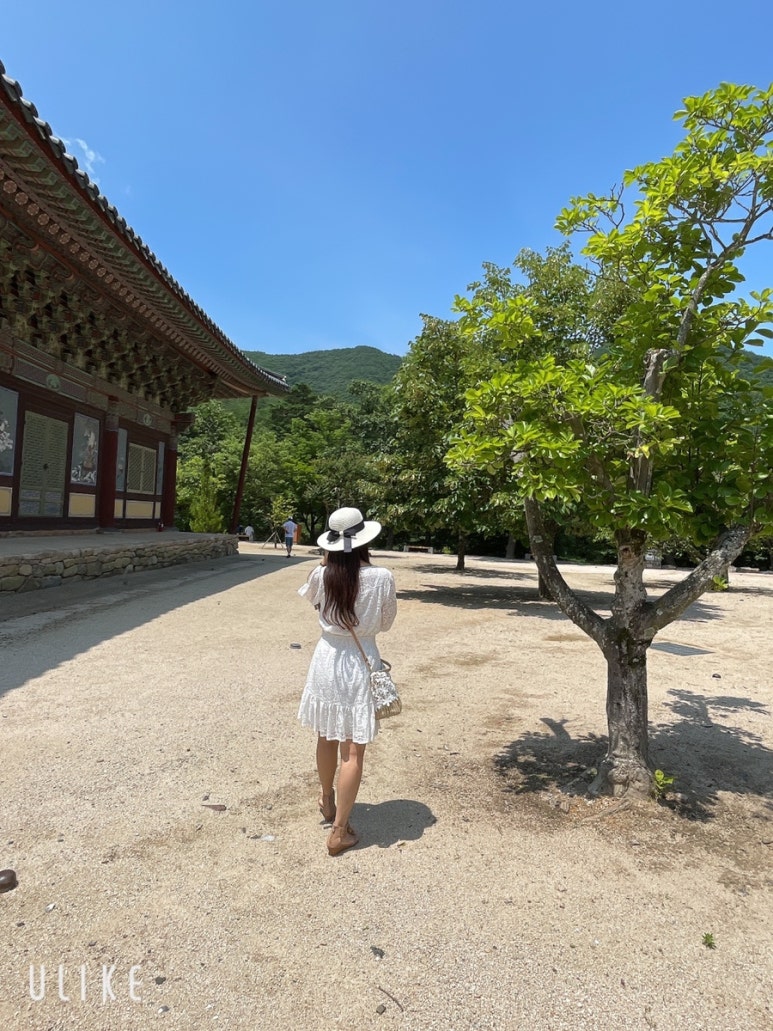 신진미헤어테라피 이미지