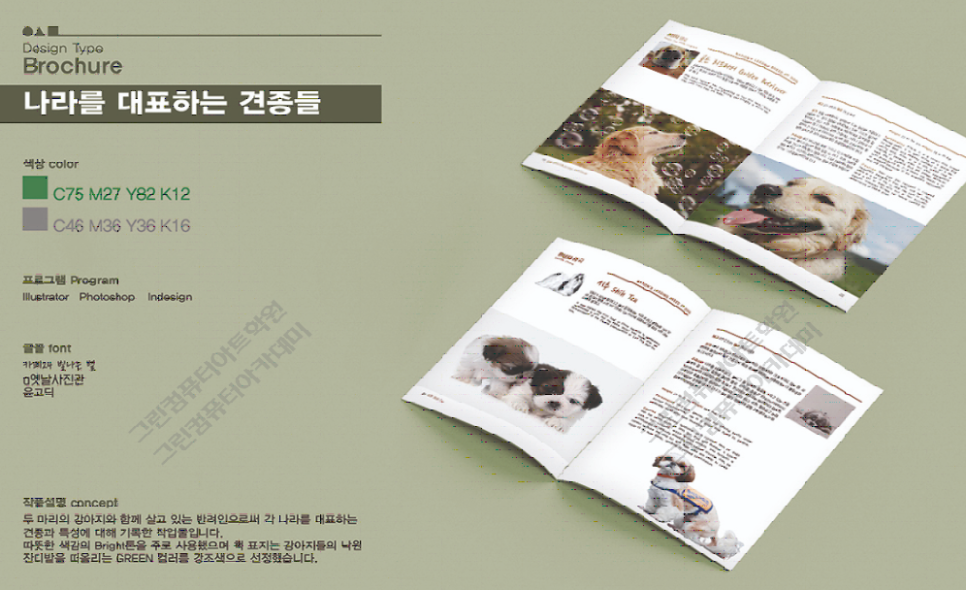호디자인 이미지