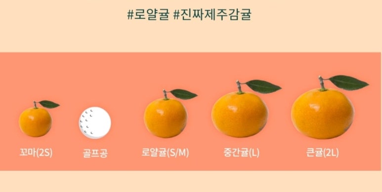 제주문 이미지