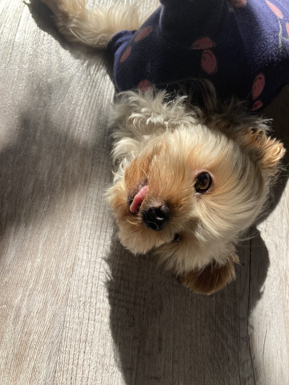 모어오아시스 이미지