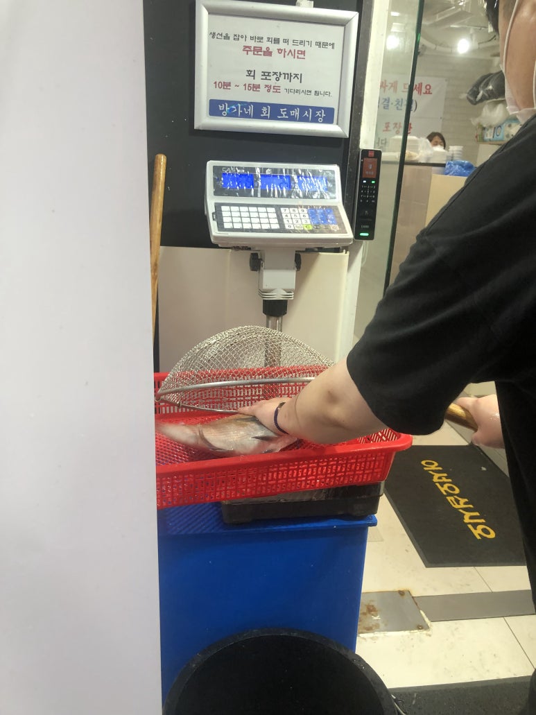 방가네회포장 이미지
