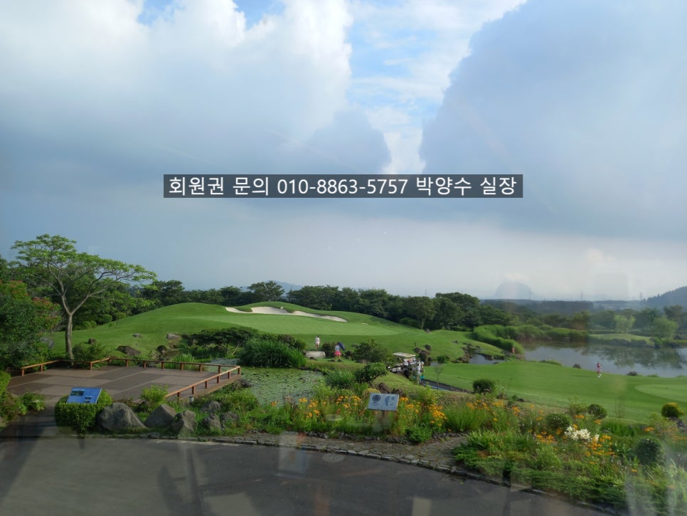 에스케이핀크스주식회사 이미지