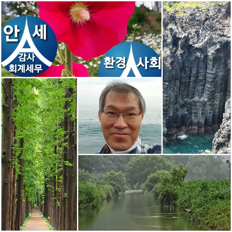 안세컨설팅 이미지
