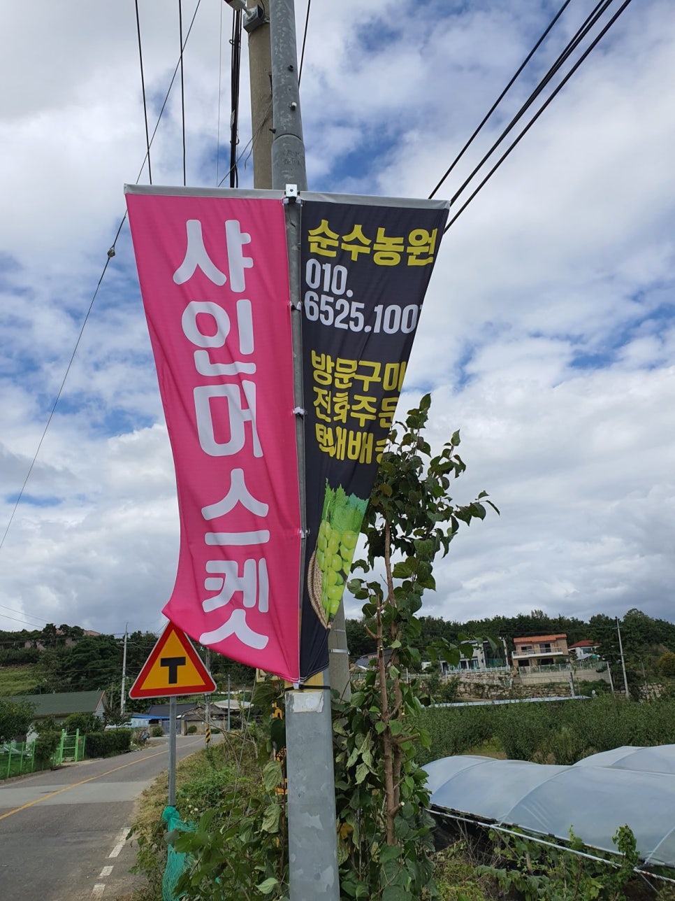다온광고기획 이미지