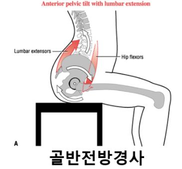 다함케어 이미지