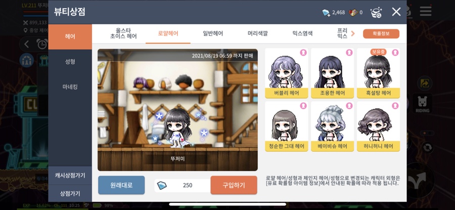 슈헤어 이미지