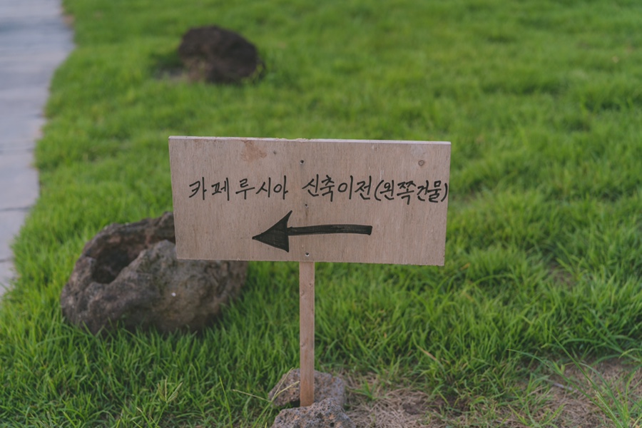카페루시아 이미지