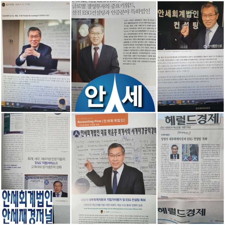 안세컨설팅 이미지